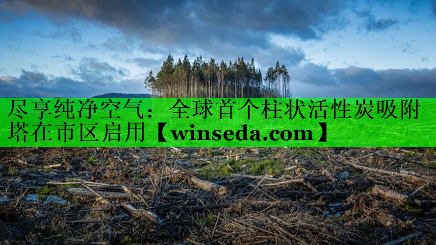 尽享纯净空气：全球首个柱状活性炭吸附塔在市区启用