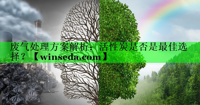 废气处理方案解析：活性炭是否是最佳选择？