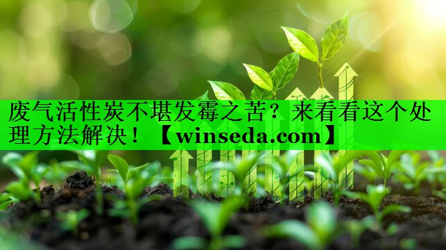 废气活性炭不堪发霉之苦？来看看这个处理方法解决！