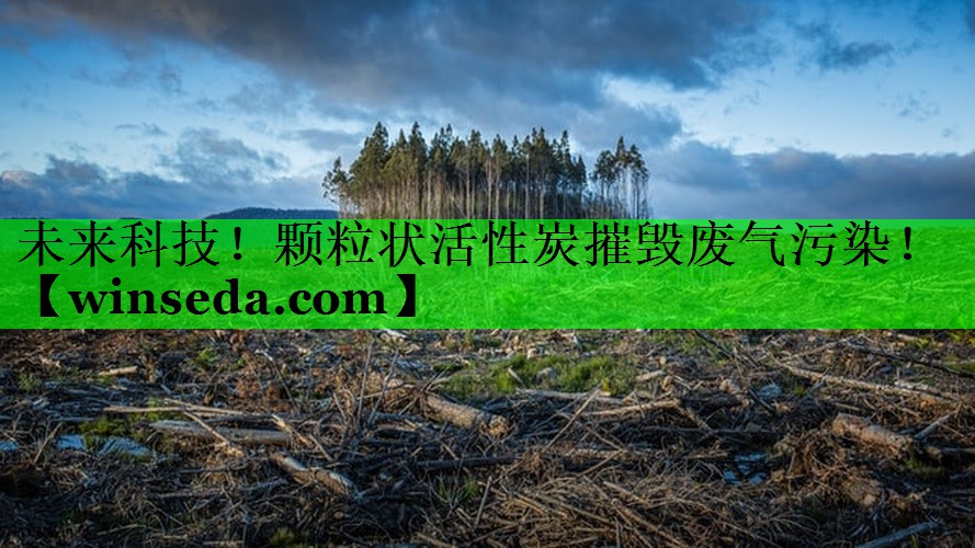 未来科技！颗粒状活性炭摧毁废气污染！