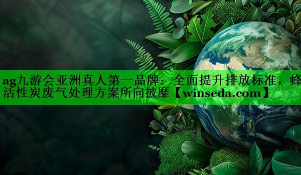 ag九游会亚洲真人第一品牌：全面提升排放标准，蜂窝活性炭废气处理方案所向披靡