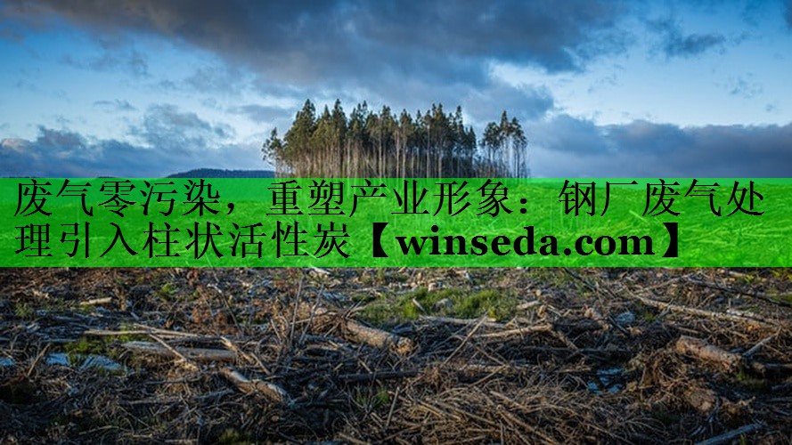 废气零污染，重塑产业形象：钢厂废气处理引入柱状活性炭