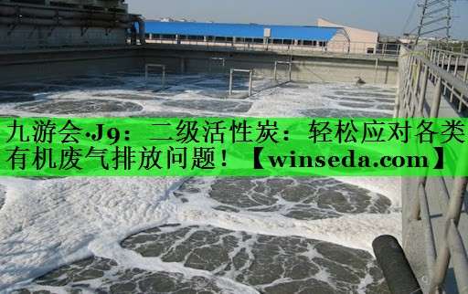 九游会·J9：二级活性炭：轻松应对各类有机废气排放问题！