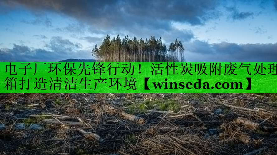 <strong>电子厂环保先锋行动！活性炭吸附废气处理箱打造清洁生产环境</strong>