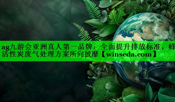 全面提升排放标准，蜂窝活性炭废气处理方案所向披靡