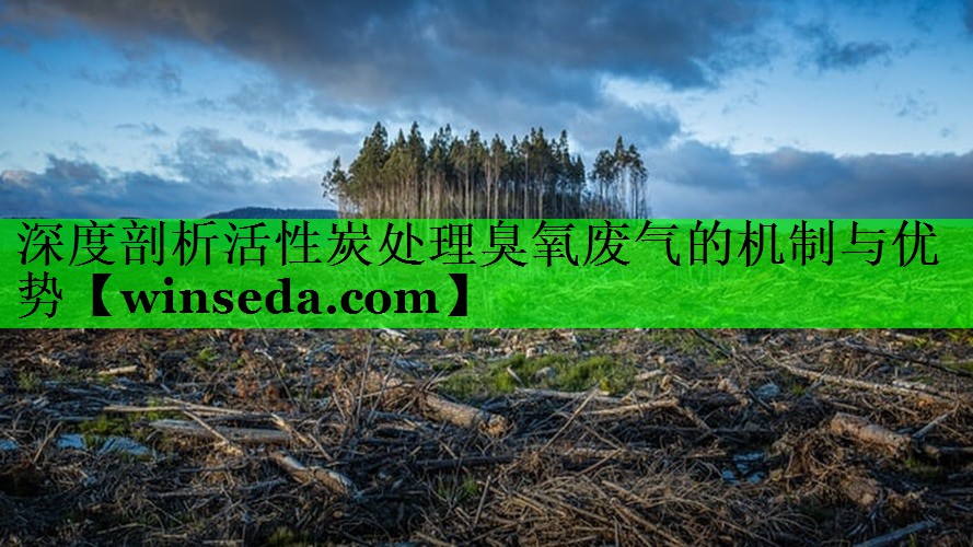 深度剖析活性炭处理臭氧废气的机制与优势