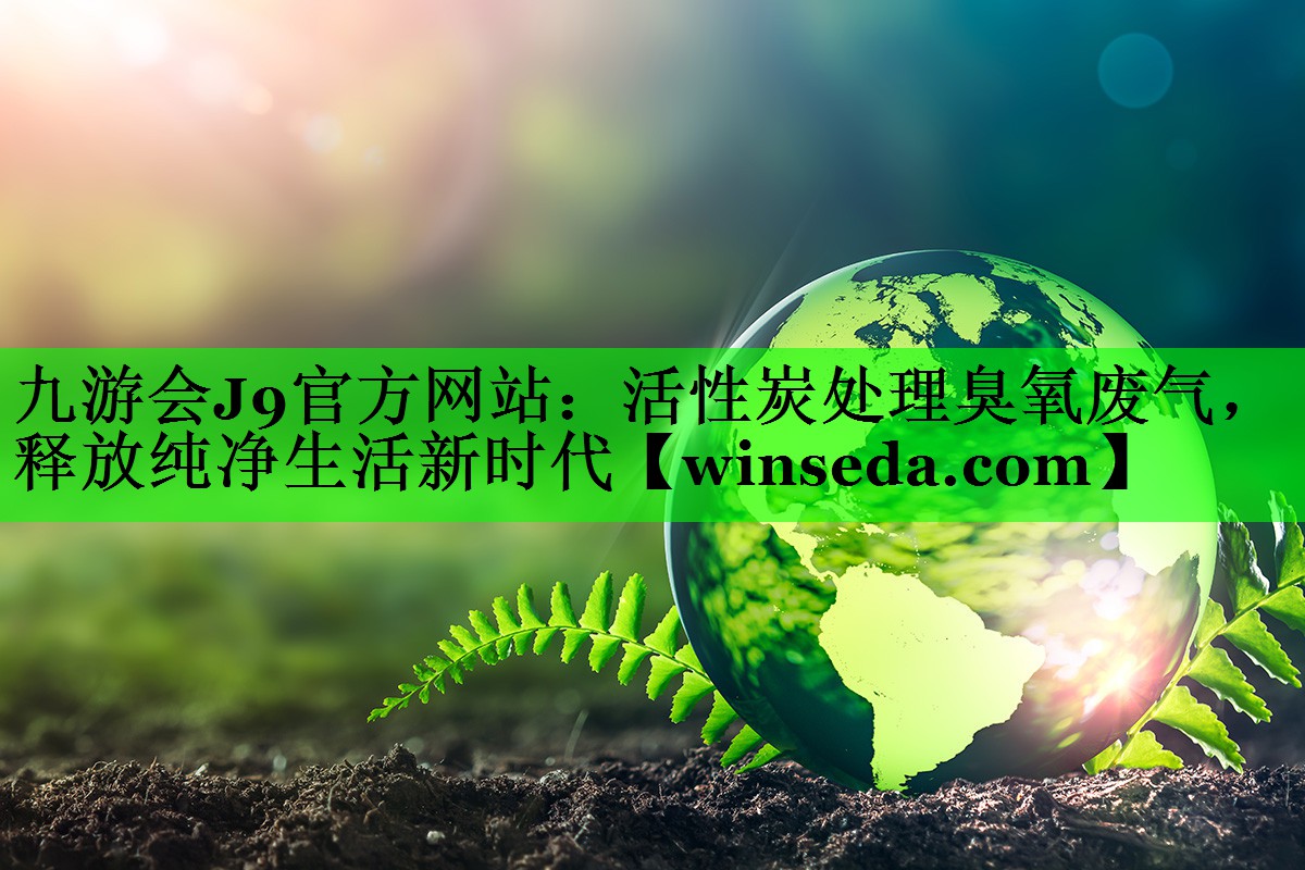 活性炭处理臭氧废气，释放纯净生活新时代
