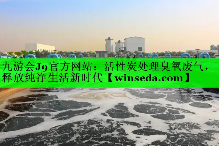 活性炭处理臭氧废气，释放纯净生活新时代