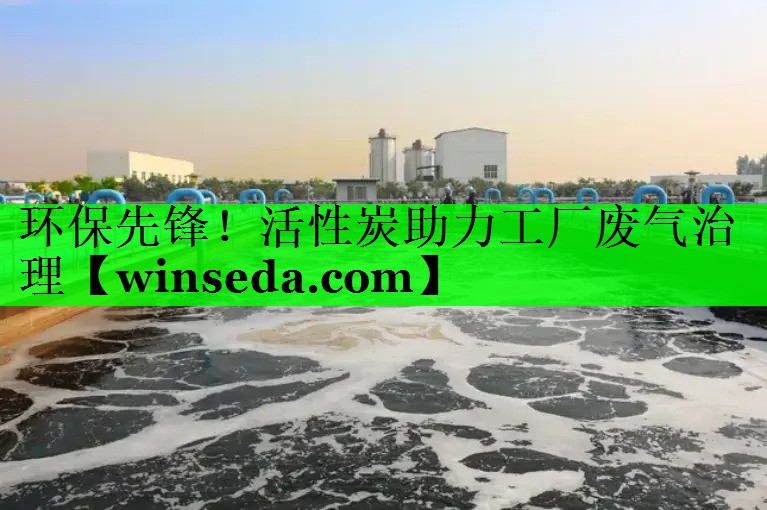 环保先锋！活性炭助力工厂废气治理